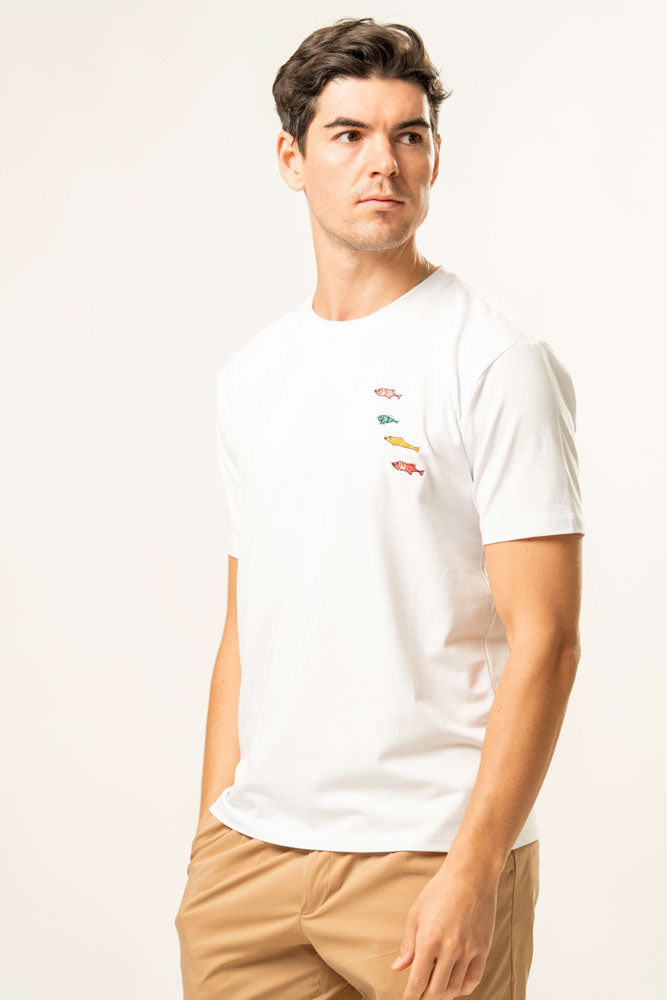 T-shirt 100% Cotone